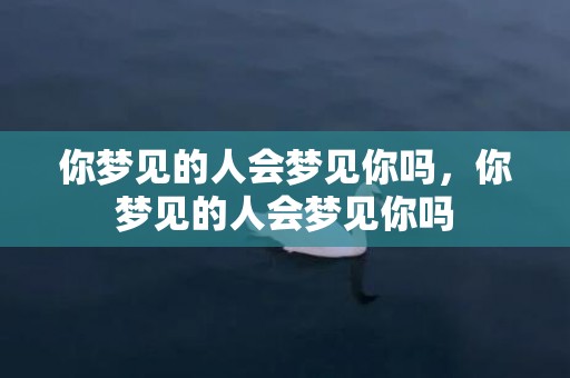 你梦见的人会梦见你吗，你梦见的人会梦见你吗