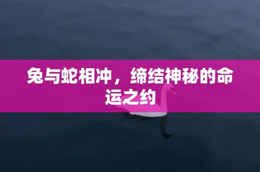 兔与蛇相冲，缔结神秘的命运之约