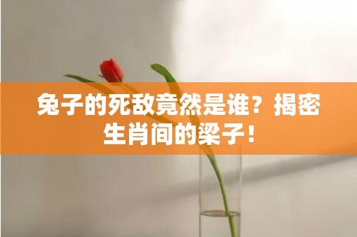 兔子的死敌竟然是谁？揭密生肖间的梁子！