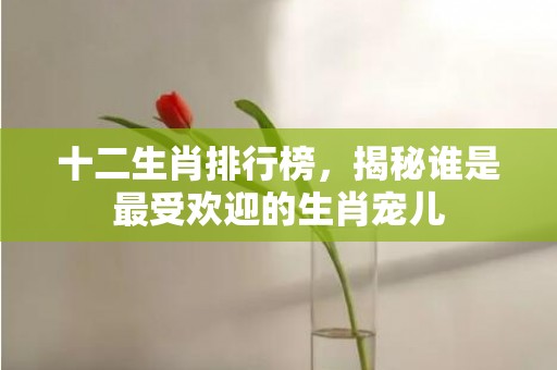 十二生肖排行榜，揭秘谁是最受欢迎的生肖宠儿