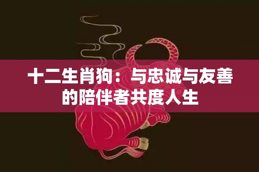 十二生肖狗：与忠诚与友善的陪伴者共度人生