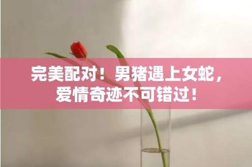 完美配对！男猪遇上女蛇，爱情奇迹不可错过！