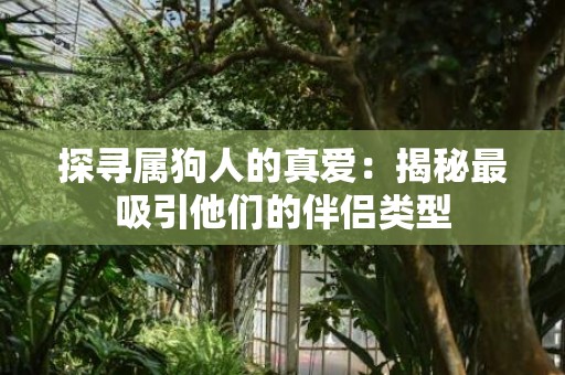 探寻属狗人的真爱：揭秘最吸引他们的伴侣类型