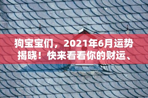 狗宝宝们，2021年6月运势揭晓！快来看看你的财运、桃花和事业！