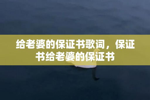 给老婆的保证书歌词，保证书给老婆的保证书