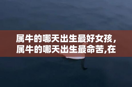 属牛的哪天出生最好女孩，属牛的哪天出生最命苦,在什么时候