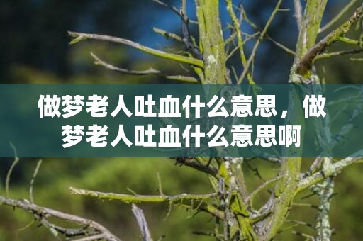 做梦老人吐血什么意思，做梦老人吐血什么意思啊