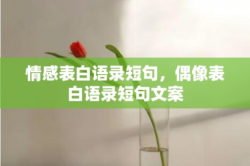 情感表白语录短句，偶像表白语录短句文案