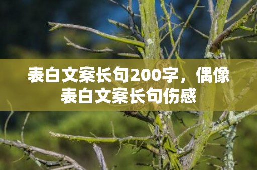 表白文案长句200字，偶像表白文案长句伤感