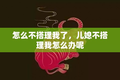 怎么不搭理我了，儿媳不搭理我怎么办呢