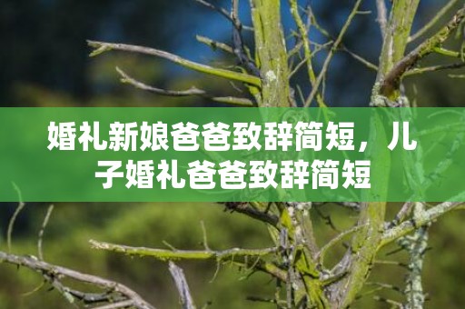 婚礼新娘爸爸致辞简短，儿子婚礼爸爸致辞简短