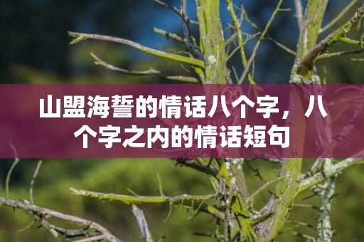 山盟海誓的情话八个字，八个字之内的情话短句