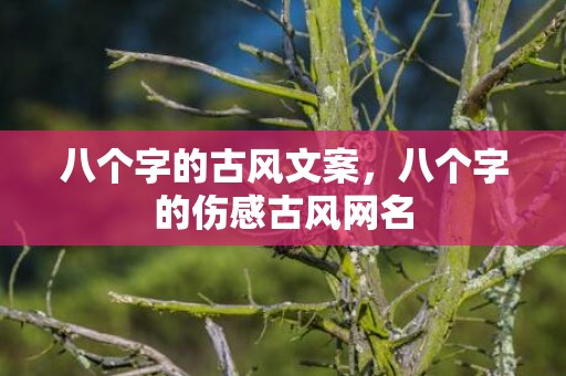 八个字的古风文案，八个字的伤感古风网名