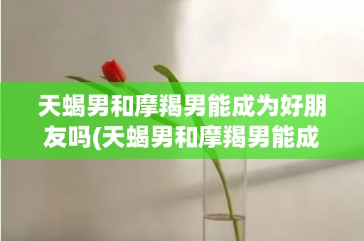 天蝎男和摩羯男能成为好朋友吗(天蝎男和摩羯男能成为好朋友吗)