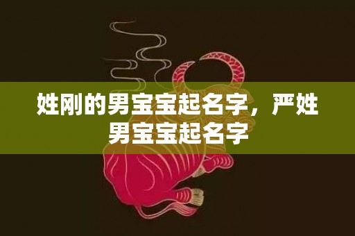 姓刚的男宝宝起名字，严姓男宝宝起名字