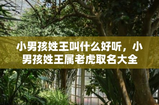 小男孩姓王叫什么好听，小男孩姓王属老虎取名大全