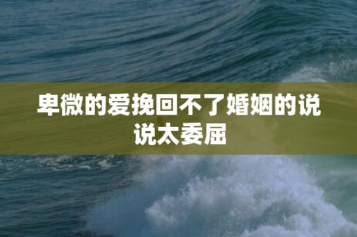 卑微的爱挽回不了婚姻的说说太委屈