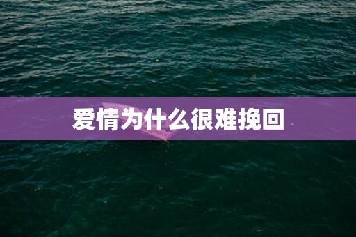 爱情为什么很难挽回