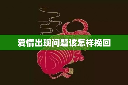 爱情出现问题该怎样挽回