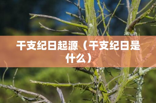 干支纪日起源（干支纪日是什么）