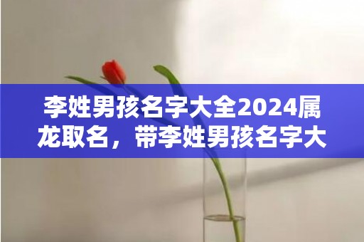 李姓男孩名字大全2024属龙取名，带李姓男孩名字大全四个字