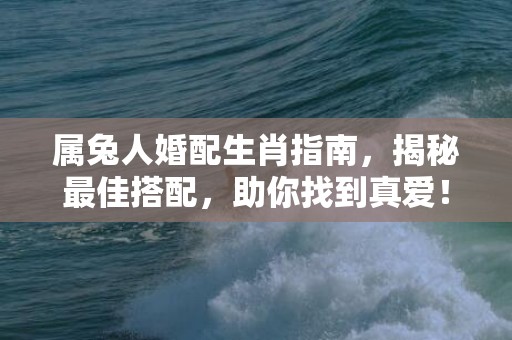 属兔人婚配生肖指南，揭秘最佳搭配，助你找到真爱！