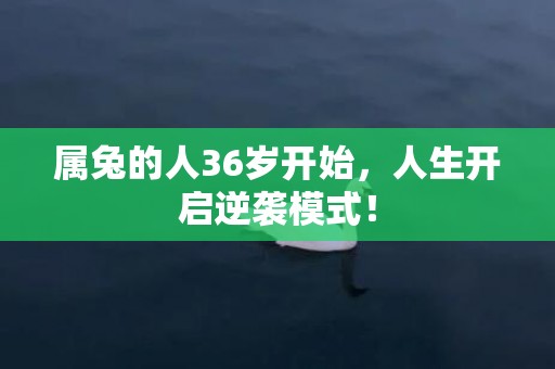 属兔的人36岁开始，人生开启逆袭模式！