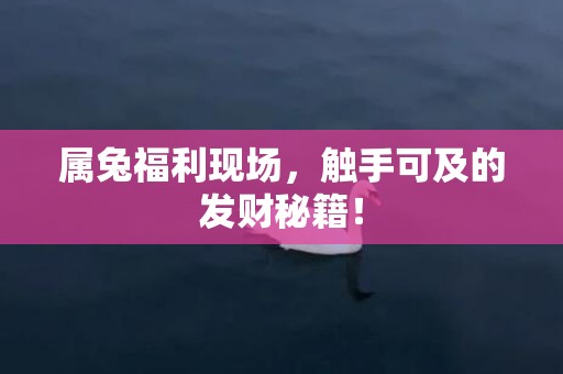 属兔福利现场，触手可及的发财秘籍！