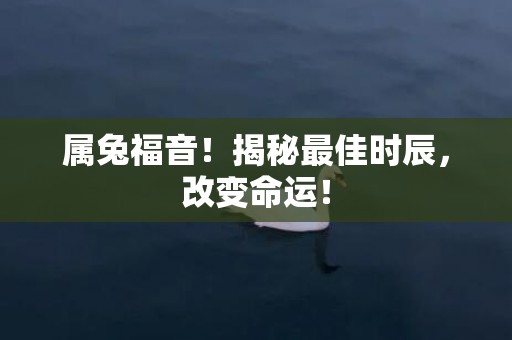 属兔福音！揭秘最佳时辰，改变命运！