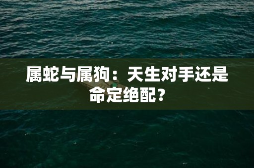 属蛇与属狗：天生对手还是命定绝配？