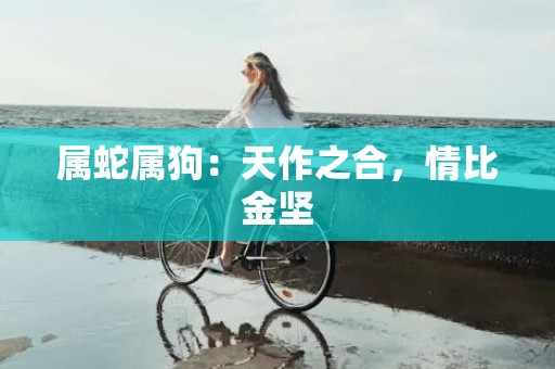 属蛇属狗：天作之合，情比金坚