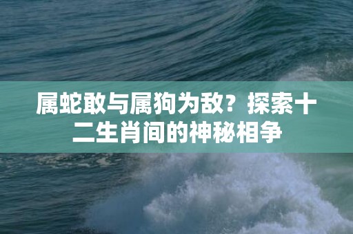 属蛇敢与属狗为敌？探索十二生肖间的神秘相争