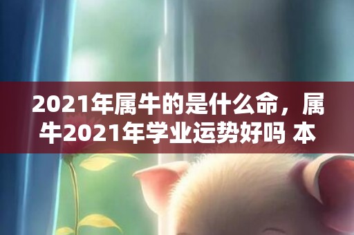 2021年属牛的是什么命，属牛2021年学业运势好吗 本命年是否顺利