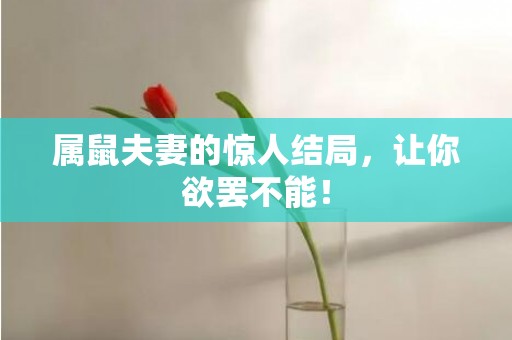 属鼠夫妻的惊人结局，让你欲罢不能！