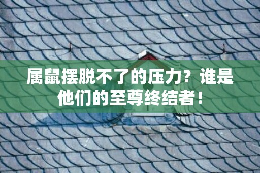 属鼠摆脱不了的压力？谁是他们的至尊终结者！