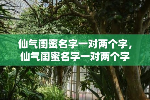 仙气闺蜜名字一对两个字，仙气闺蜜名字一对两个字