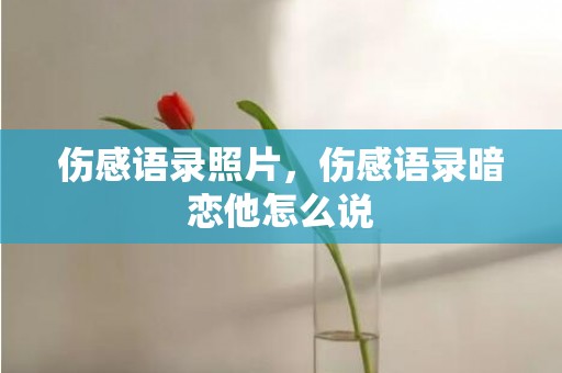 伤感语录照片，伤感语录暗恋他怎么说