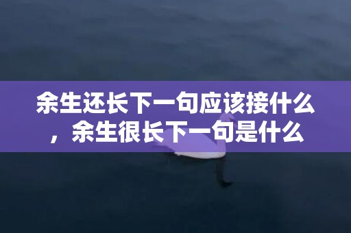 余生还长下一句应该接什么，余生很长下一句是什么