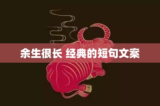 余生很长 经典的短句文案