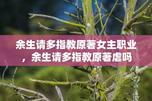 余生请多指教原著女主职业，余生请多指教原著虐吗