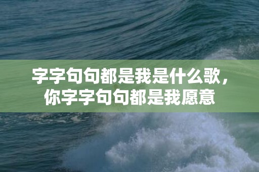 字字句句都是我是什么歌，你字字句句都是我愿意