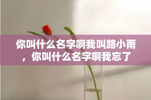 你叫什么名字啊我叫路小雨，你叫什么名字啊我忘了