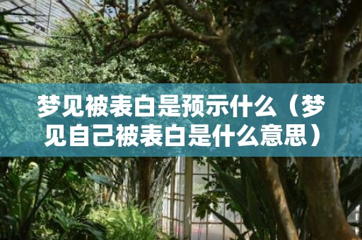 梦见被表白是预示什么（梦见自己被表白是什么意思）