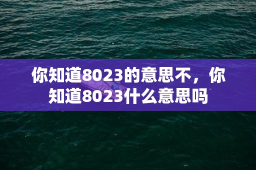 你知道8023的意思不，你知道8023什么意思吗