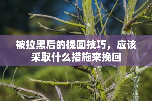 被拉黑后的挽回技巧，应该采取什么措施来挽回