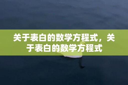 关于表白的数学方程式，关于表白的数学方程式