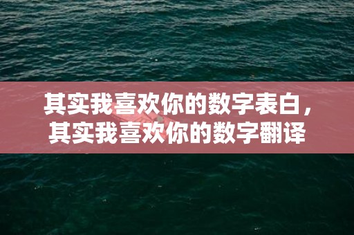 其实我喜欢你的数字表白，其实我喜欢你的数字翻译