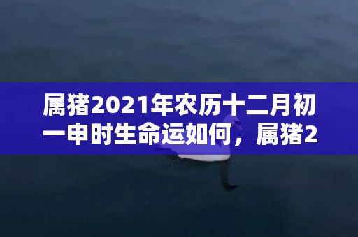 属猪2021年农历十二月初一申时生命运如何，属猪2021年农历四月财运解析 金钱运势一般