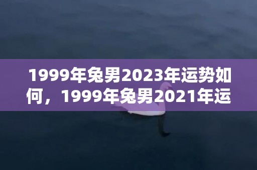 1999年兔男2023年运势如何，1999年兔男2021年运势 事业表现如何