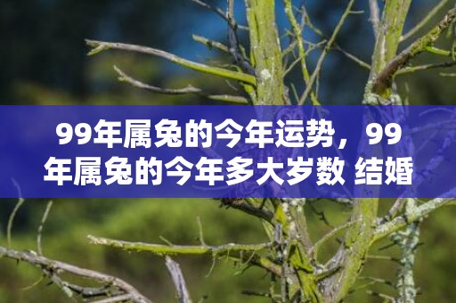 99年属兔的今年运势，99年属兔的今年多大岁数 结婚最佳年龄